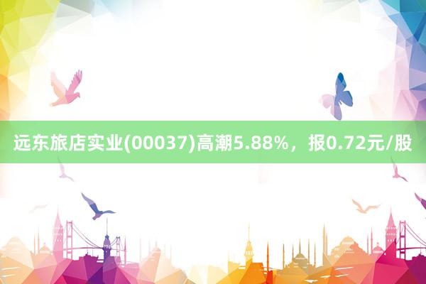 远东旅店实业(00037)高潮5.88%，报0.72元/股